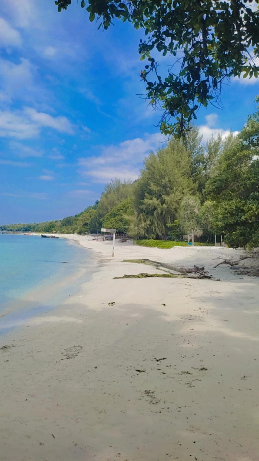 Permandangan di pinggrir atau bibir pantai pasir putih.